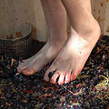 Wine Blessing - Agricultural Armenia