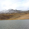 Kari Lake